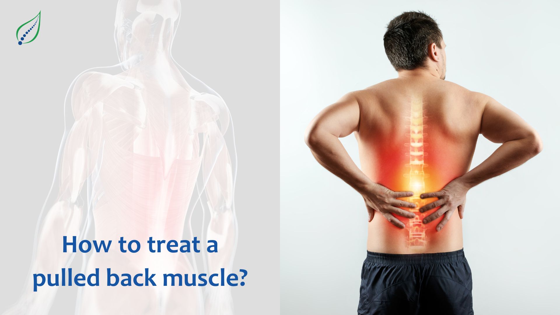 How to Treat a Pulled Back Muscle?